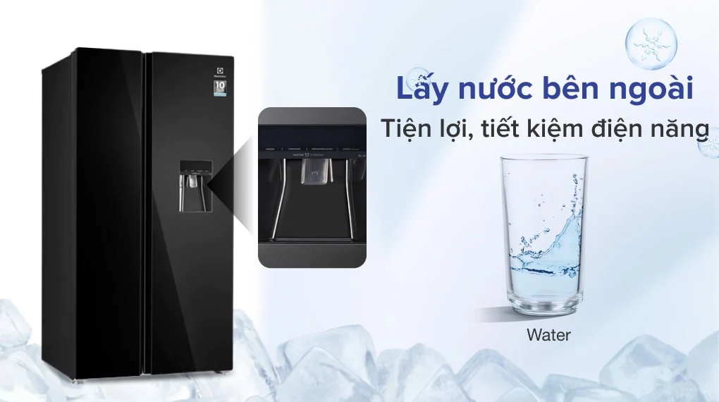 Tu_Lanh_Electrolux_ESE6645A-BVN